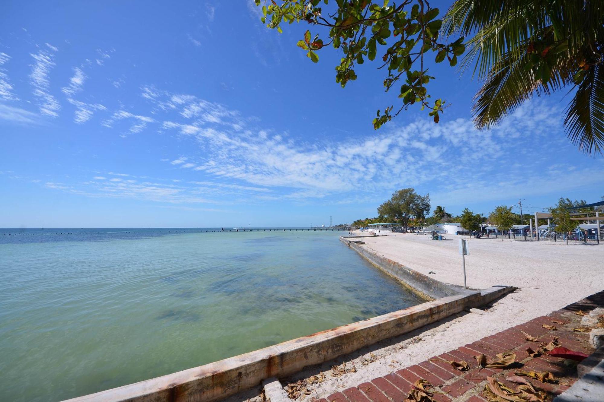 Pescado Penthouse On Duval Villa Key West Room photo